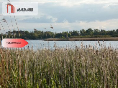 Duża działka z linią brzegową jeziora - 5