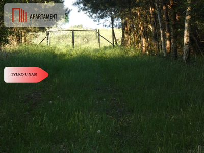 Duża działka z linią brzegową jeziora - 4