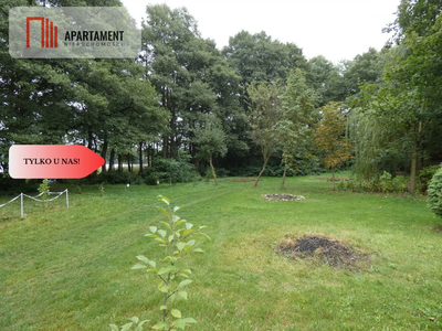 Działka z linią brzegową nad jeziorem Ostrowickim - 5