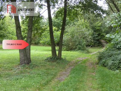 Działka z linią brzegową nad jeziorem Ostrowickim - 2