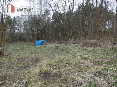 Działka z lasem blisko jeziora