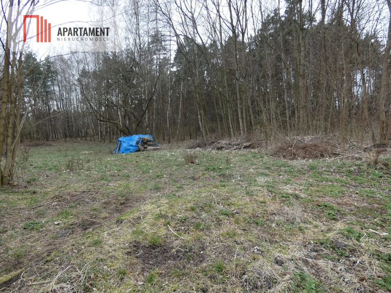 Działka z lasem blisko jeziora - dd_18eeaa1f_zs_111157_1.jpg
