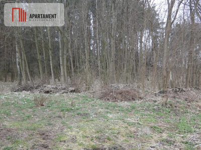 Działka z lasem blisko jeziora - 3