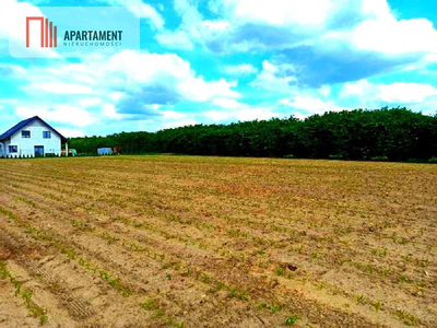 OKAZJA !!! OSÓWIEC DZIAŁKI BUDOWLANE 862m2 - 2