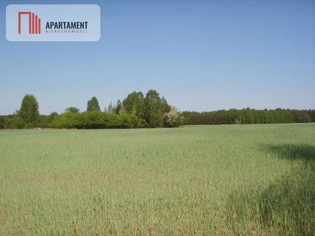 Działka Bory Tucholskie Jeziora i Zalew Koronowski - dd_18eeaa1f_zs_205276_1.jpg