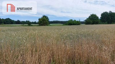Działka z warunkami zabudowy - 200m od lustra wody - 3