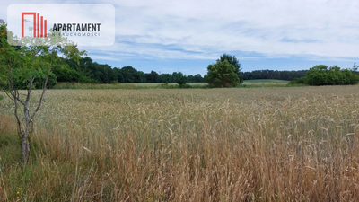 Działka z warunkami zabudowy - 200m od lustra wody - 5