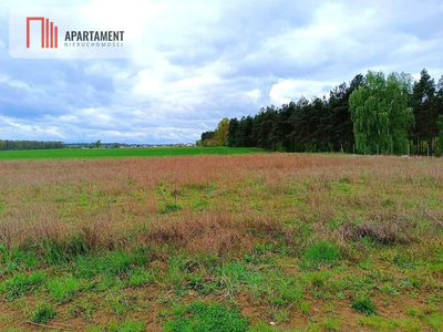 MORZEWIEC 1022m CISZA SPOKÓJ ŚCIANA LASU