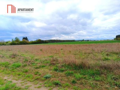 MORZEWIEC 1022m CISZA SPOKÓJ ŚCIANA LASU - 2