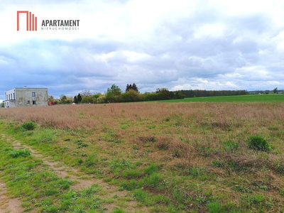 MORZEWIEC 1022m CISZA SPOKÓJ ŚCIANA LASU - 3