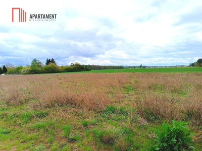 MORZEWIEC 1022m CISZA SPOKÓJ ŚCIANA LASU - 5
