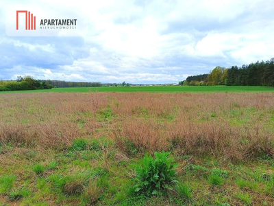 MORZEWIEC 1022m CISZA SPOKÓJ ŚCIANA LASU - 4