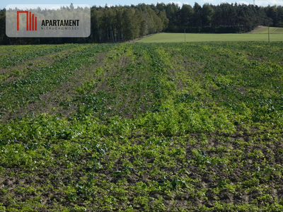 Działki z warunkami zabudowy blisko jezior i lasów - 5