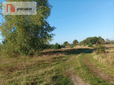ATRAKCYJNA ZACISZNA I ZIELONA DZIAŁKA !!! - 2