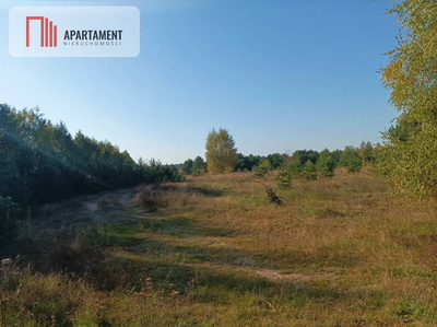 ATRAKCYJNA ZACISZNA I ZIELONA DZIAŁKA !!! - 4