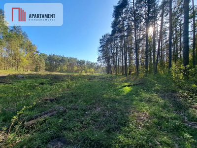 Działka nad jeziorem, z własnym strumykiem - 5