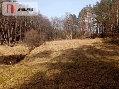 Działka nad jeziorem, z własnym strumykiem - 4