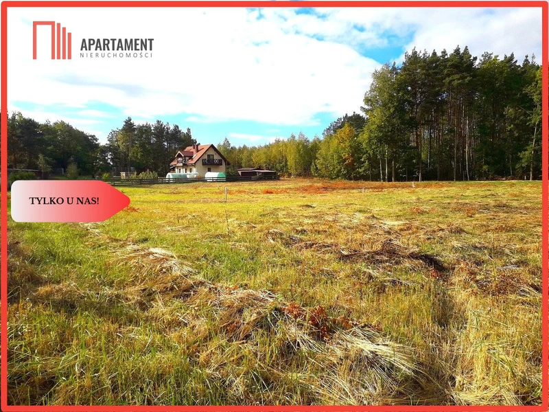 Toporzysko - las cisza spokój - 1000 m2 - dd_18eeaa1f_zs_527271_1.jpg