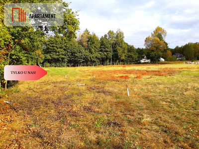 Toporzysko - las cisza spokój - 1000 m2 - 4