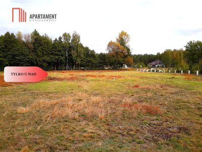 Toporzysko - działki ze ścianą lasu 800-1000 m2 - 4