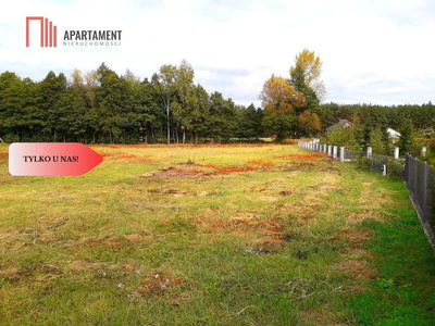 Toporzysko - działki ze ścianą lasu 800-1000 m2 - 3