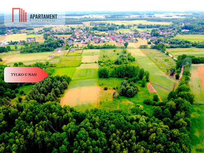 Dla Dewelopera! Działka przy lesie k Trzebnicy! - 3