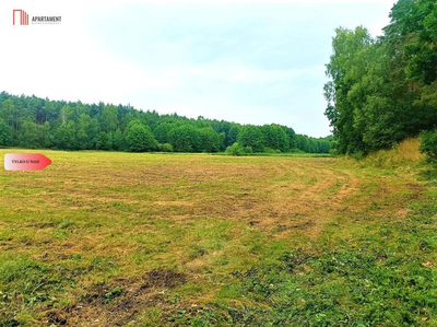 TYLKO U NAS - PAWŁÓWEK 1,8ha LAS CISZA SPOKÓJ - 2