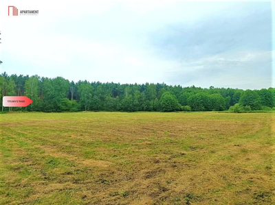 TYLKO U NAS - PAWŁÓWEK 1,8ha LAS CISZA SPOKÓJ - 4