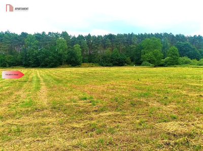 TYLKO U NAS - PAWŁÓWEK 1,8ha LAS CISZA SPOKÓJ - 5
