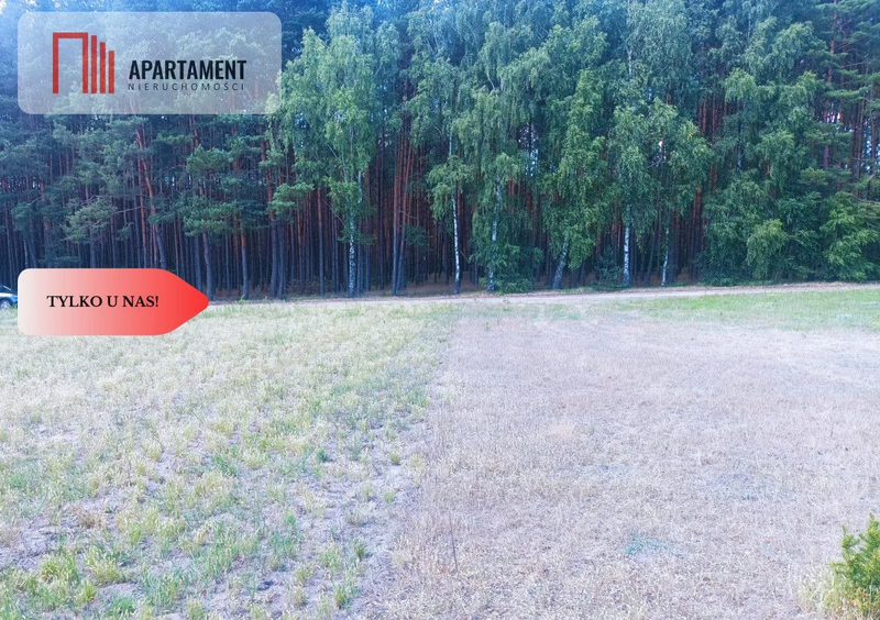 TYLKO U NAS !!! PIĘKNA OTULONA LASEM I C!SZĄ! - dd_18eeaa1f_zs_586552_1.jpg