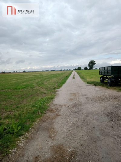 Działka w Parlinie ,gm Dąbrowa, pow. Mogilno - 4