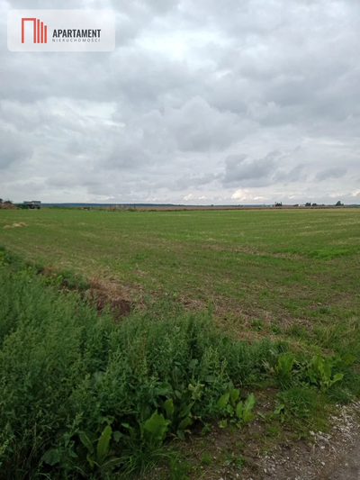 Działka w Parlinie ,gm Dąbrowa, pow. Mogilno - 5