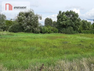 Działka w Żninie blisko jeziora Dużego