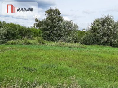 Działka w Żninie blisko jeziora Dużego - 3
