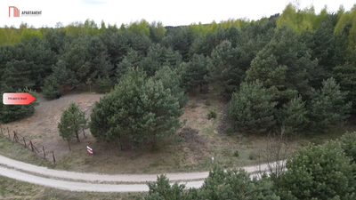 Bory Tucholskie – działka 1195 mkw pod budowę domu - 5