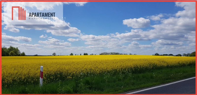 Działka - możliwość podziału! Bory Tucholskie! - dd_18eeaa1f_zs_238013_1.jpg