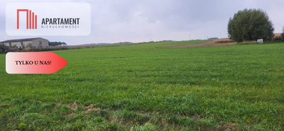 Działki budowlane - Wyrzysk Skarbowy - 4