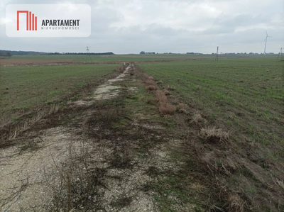 Działka z dala od zgiełku miasta - 3