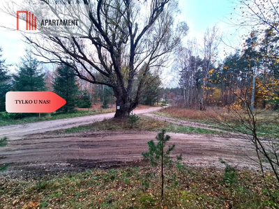 Tylko u nas!!Działka w okolicy lasów i jezior!!! - 5