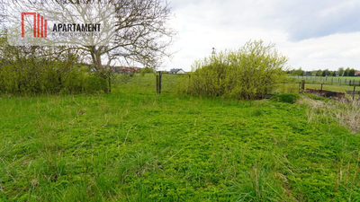 Duża działka do podziału lub inwestycji! - 2