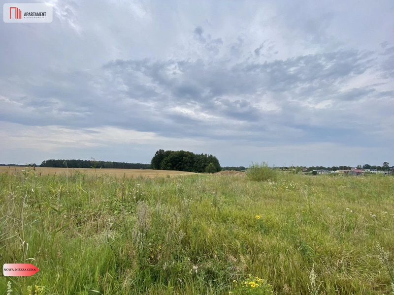 działki pod Starogardem Gdańskim - dd_18eeaa1f_zs_161707_1.jpg