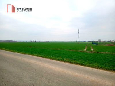 Atrakcyjne działki w Podgórzynie koło Żnina - 3