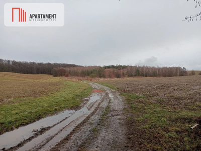 15 ha/działka inwestycyjna/ok. Oborniki Śląskie - 4
