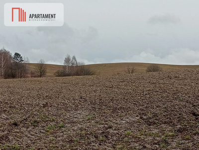 15 ha/działka inwestycyjna/ok. Oborniki Śląskie - 3