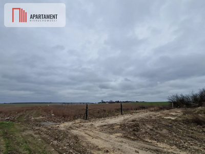 Działka budowlana pod Barcinem w dobrej cenie - 5