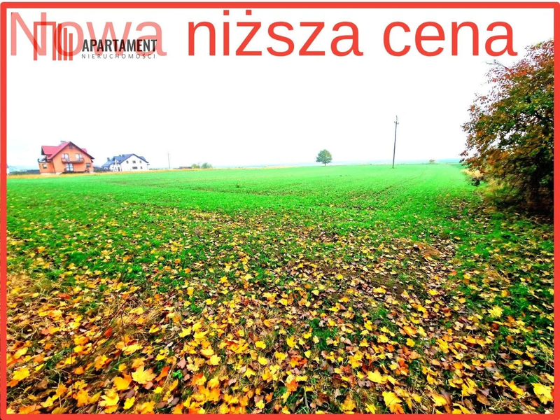 Działka z WZ zaledwie 4 km od Człuchowa! - dd_18eeaa1f_zs_334250_1.jpg