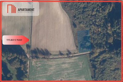 TYLKO U NAS! Duża działka, blisko lasu!