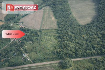 TYLKO U NAS! Duża działka, blisko lasu! - 4