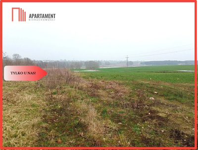 Malownicza działka wśród lasów i pól - OKAZJA - 5