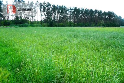 Urokliwe działki nad jeziorem Brzuchowo! - 5